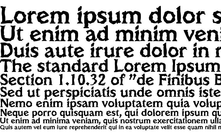 specimens VeracruzRandom Bold font, sample VeracruzRandom Bold font, an example of writing VeracruzRandom Bold font, review VeracruzRandom Bold font, preview VeracruzRandom Bold font, VeracruzRandom Bold font