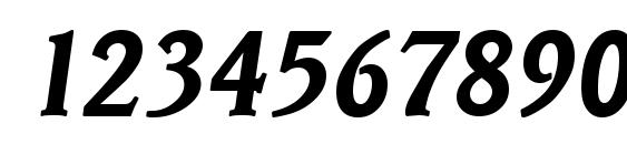 VeracruzSerial BoldItalic Font, Number Fonts