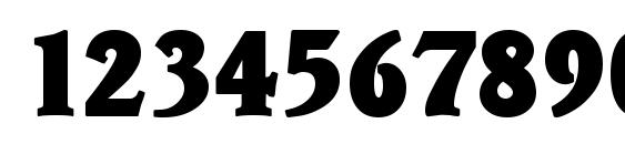 VeracruzSerial Heavy Regular Font, Number Fonts