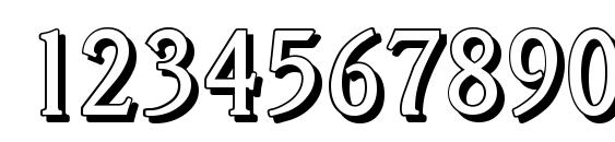 VeracruzShadow Regular Font, Number Fonts