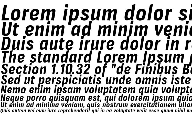 specimens VerioxRg BoldItalic font, sample VerioxRg BoldItalic font, an example of writing VerioxRg BoldItalic font, review VerioxRg BoldItalic font, preview VerioxRg BoldItalic font, VerioxRg BoldItalic font