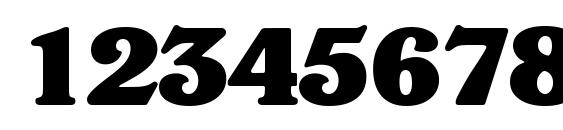 VeronaSerial Heavy Regular Font, Number Fonts