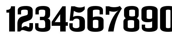 Vigo Regular Font, Number Fonts