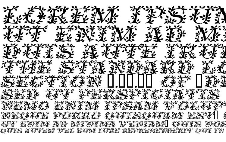 specimens Vinecapsssk italic font, sample Vinecapsssk italic font, an example of writing Vinecapsssk italic font, review Vinecapsssk italic font, preview Vinecapsssk italic font, Vinecapsssk italic font