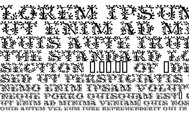 specimens Vinecapsssk font, sample Vinecapsssk font, an example of writing Vinecapsssk font, review Vinecapsssk font, preview Vinecapsssk font, Vinecapsssk font