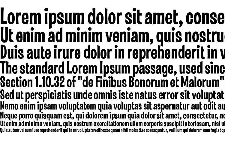 specimens Violet font, sample Violet font, an example of writing Violet font, review Violet font, preview Violet font, Violet font