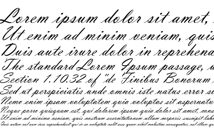 specimens Vladimir Script font, sample Vladimir Script font, an example of writing Vladimir Script font, review Vladimir Script font, preview Vladimir Script font, Vladimir Script font