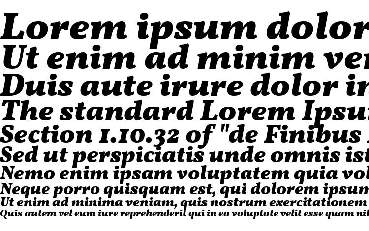 specimens Vollkorn Bold Italic font, sample Vollkorn Bold Italic font, an example of writing Vollkorn Bold Italic font, review Vollkorn Bold Italic font, preview Vollkorn Bold Italic font, Vollkorn Bold Italic font