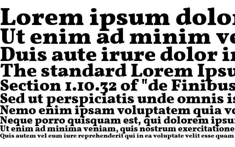 specimens Vollkorn Bold font, sample Vollkorn Bold font, an example of writing Vollkorn Bold font, review Vollkorn Bold font, preview Vollkorn Bold font, Vollkorn Bold font
