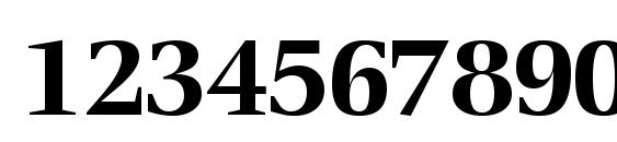 Voracessk bold Font, Number Fonts