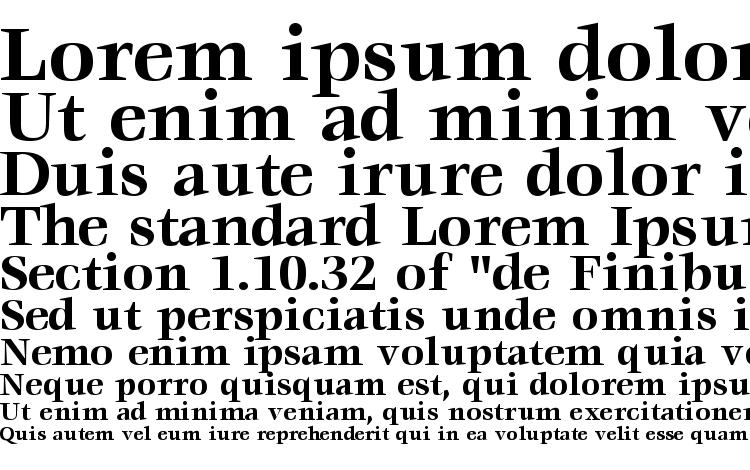 specimens Voracessk bold font, sample Voracessk bold font, an example of writing Voracessk bold font, review Voracessk bold font, preview Voracessk bold font, Voracessk bold font