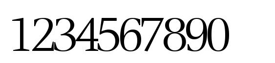 Voracessk regular Font, Number Fonts