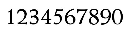 W690 Roman Regular Font, Number Fonts