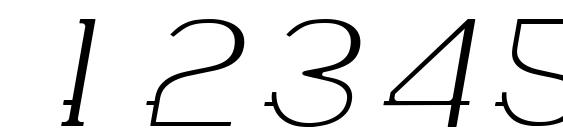 WABECO Thin Italic Font, Number Fonts