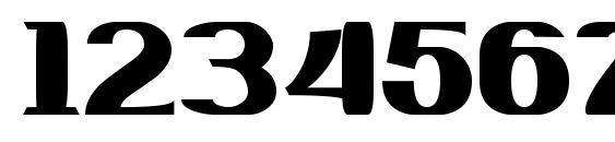 Wachaka Font, Number Fonts