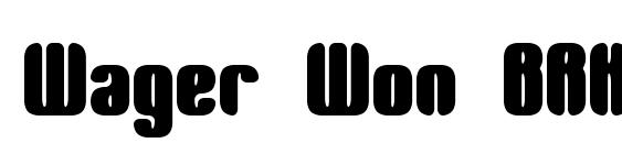 Wager Won BRK font, free Wager Won BRK font, preview Wager Won BRK font