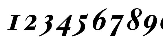 Walbaum Bold Italic Oldstyle Figures Font, Number Fonts