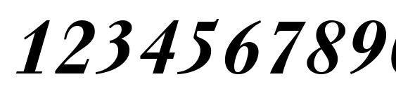Walbaum LT Bold Italic Font, Number Fonts