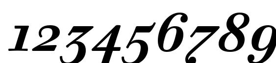 Walbaum Text Pro Bold Italic Font, Number Fonts
