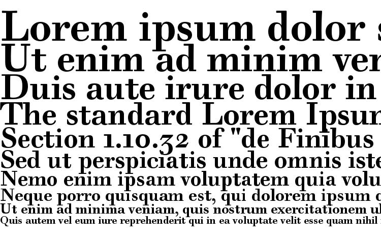 specimens Walbaum Text Pro Bold font, sample Walbaum Text Pro Bold font, an example of writing Walbaum Text Pro Bold font, review Walbaum Text Pro Bold font, preview Walbaum Text Pro Bold font, Walbaum Text Pro Bold font
