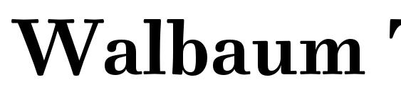 Walbaum Text Pro Bold font, free Walbaum Text Pro Bold font, preview Walbaum Text Pro Bold font