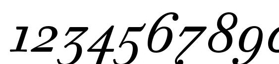 Walbaum Text Pro Italic Font, Number Fonts