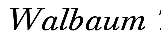Walbaum Text Pro Italic Font