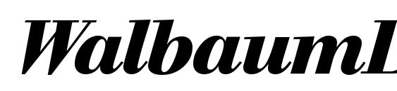 WalbaumDisplay Heavy Italic font, free WalbaumDisplay Heavy Italic font, preview WalbaumDisplay Heavy Italic font