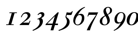 Walbaumosssk italic Font, Number Fonts