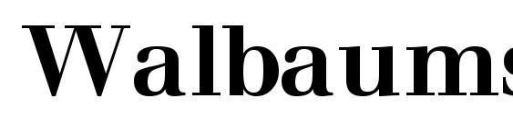 шрифт Walbaumssk bold, бесплатный шрифт Walbaumssk bold, предварительный просмотр шрифта Walbaumssk bold