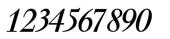 Walbaumssk italic Font, Number Fonts