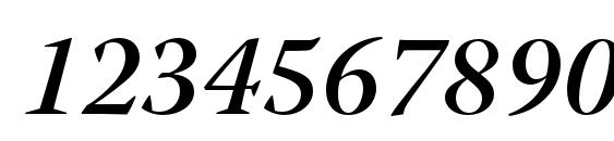 WarnockPro SemiboldItSubh Font, Number Fonts