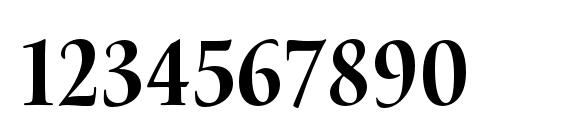 WatersTitlingPro BdCn Font, Number Fonts