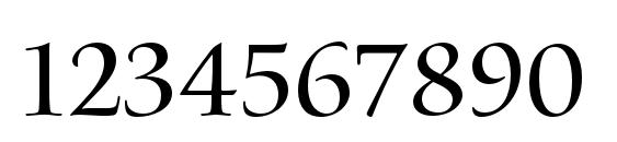 WatersTitlingPro Rg Font, Number Fonts