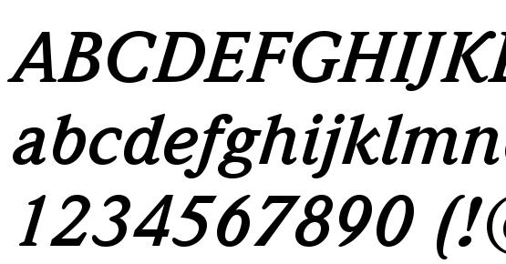 Weidemann Bold Italic BT Font Download Free / LegionFonts