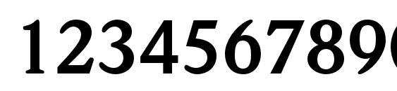 WeidemannStd Bold Font, Number Fonts