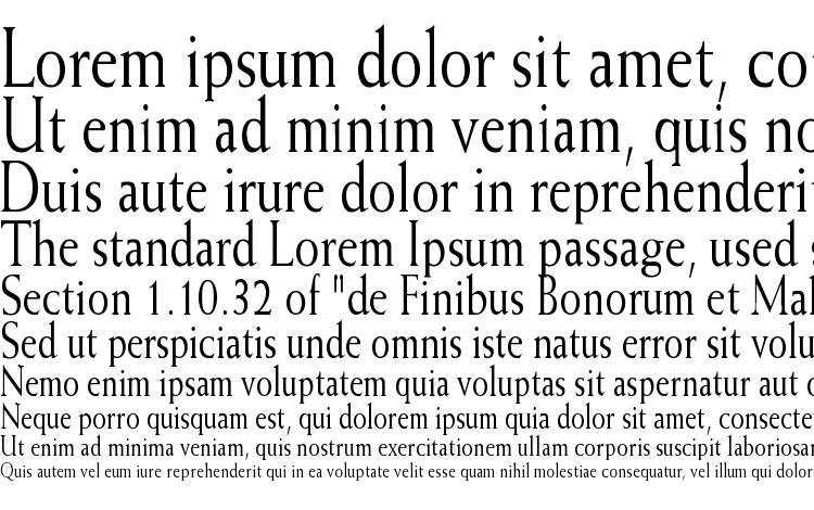 specimens Weiss Cn font, sample Weiss Cn font, an example of writing Weiss Cn font, review Weiss Cn font, preview Weiss Cn font, Weiss Cn font