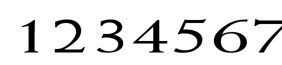 Weiss Ex Font, Number Fonts