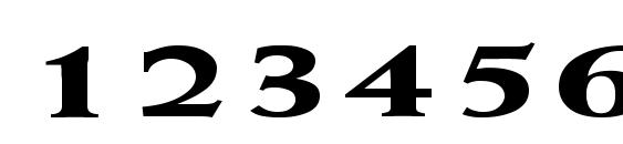 Weiss ExtraBold Ex Font, Number Fonts