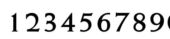 WeissStd Bold Font, Number Fonts