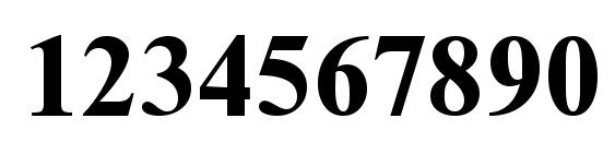 Westtimesssk bold Font, Number Fonts