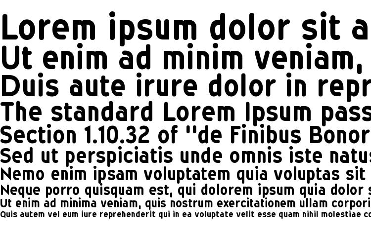 specimens WevliCdRg Bold font, sample WevliCdRg Bold font, an example of writing WevliCdRg Bold font, review WevliCdRg Bold font, preview WevliCdRg Bold font, WevliCdRg Bold font