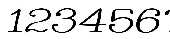 Whackadoo Upper Wide Italic Font, Number Fonts