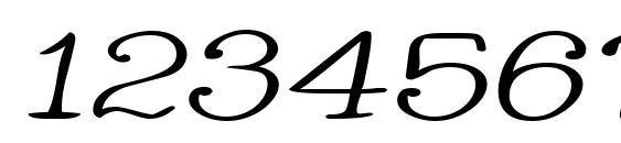 Whacuwi Font, Number Fonts