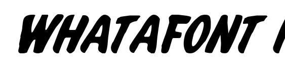 шрифт Whatafont italic, бесплатный шрифт Whatafont italic, предварительный просмотр шрифта Whatafont italic
