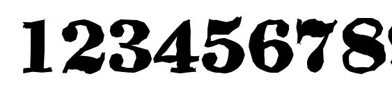 WichitaAntique Xbold Regular Font, Number Fonts