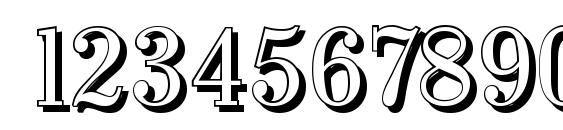 WichitaShadow Regular Font, Number Fonts