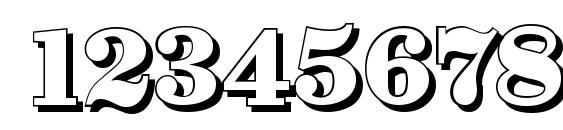 WichitaShadow Xbold Regular Font, Number Fonts