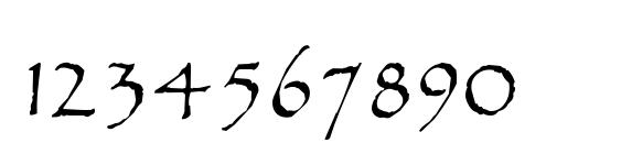 Widget Font, Number Fonts