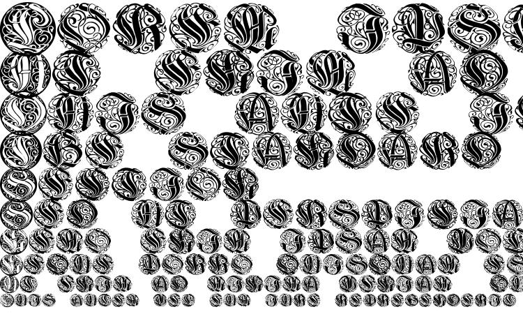 specimens Wieynkcapsround font, sample Wieynkcapsround font, an example of writing Wieynkcapsround font, review Wieynkcapsround font, preview Wieynkcapsround font, Wieynkcapsround font